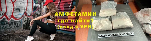 прущие грибы Михайлов