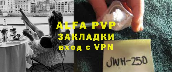 прущие грибы Михайлов