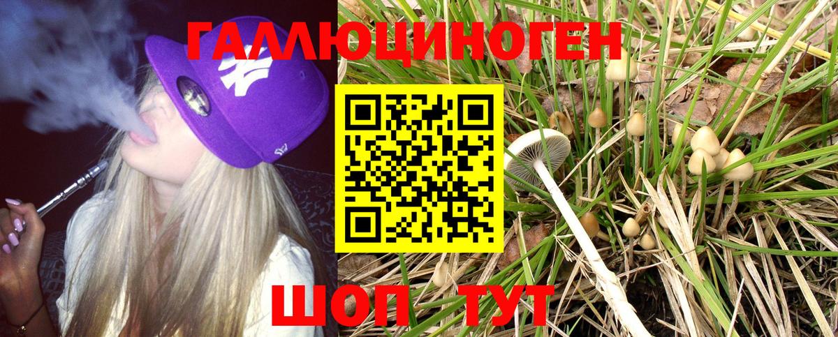 Псилоцибиновые грибы мицелий Лянтор